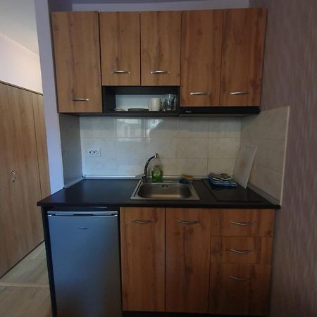 Mechka Ski Apartment บันสโก ภายนอก รูปภาพ