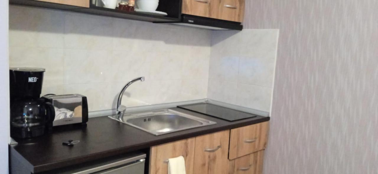 Mechka Ski Apartment บันสโก ภายนอก รูปภาพ