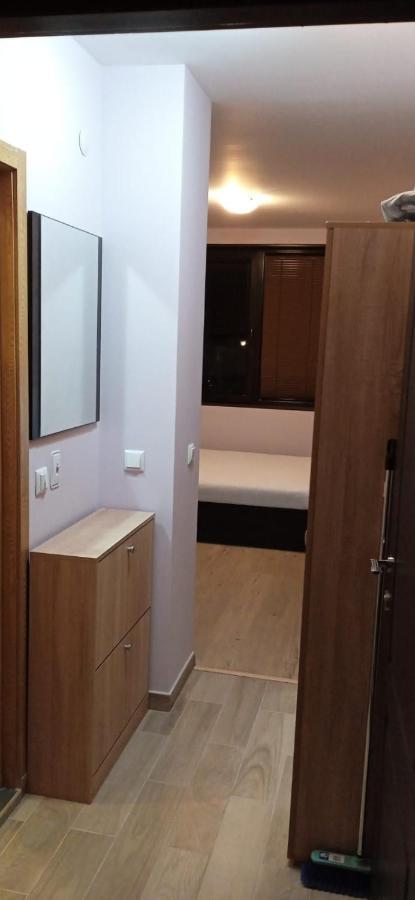 Mechka Ski Apartment บันสโก ภายนอก รูปภาพ
