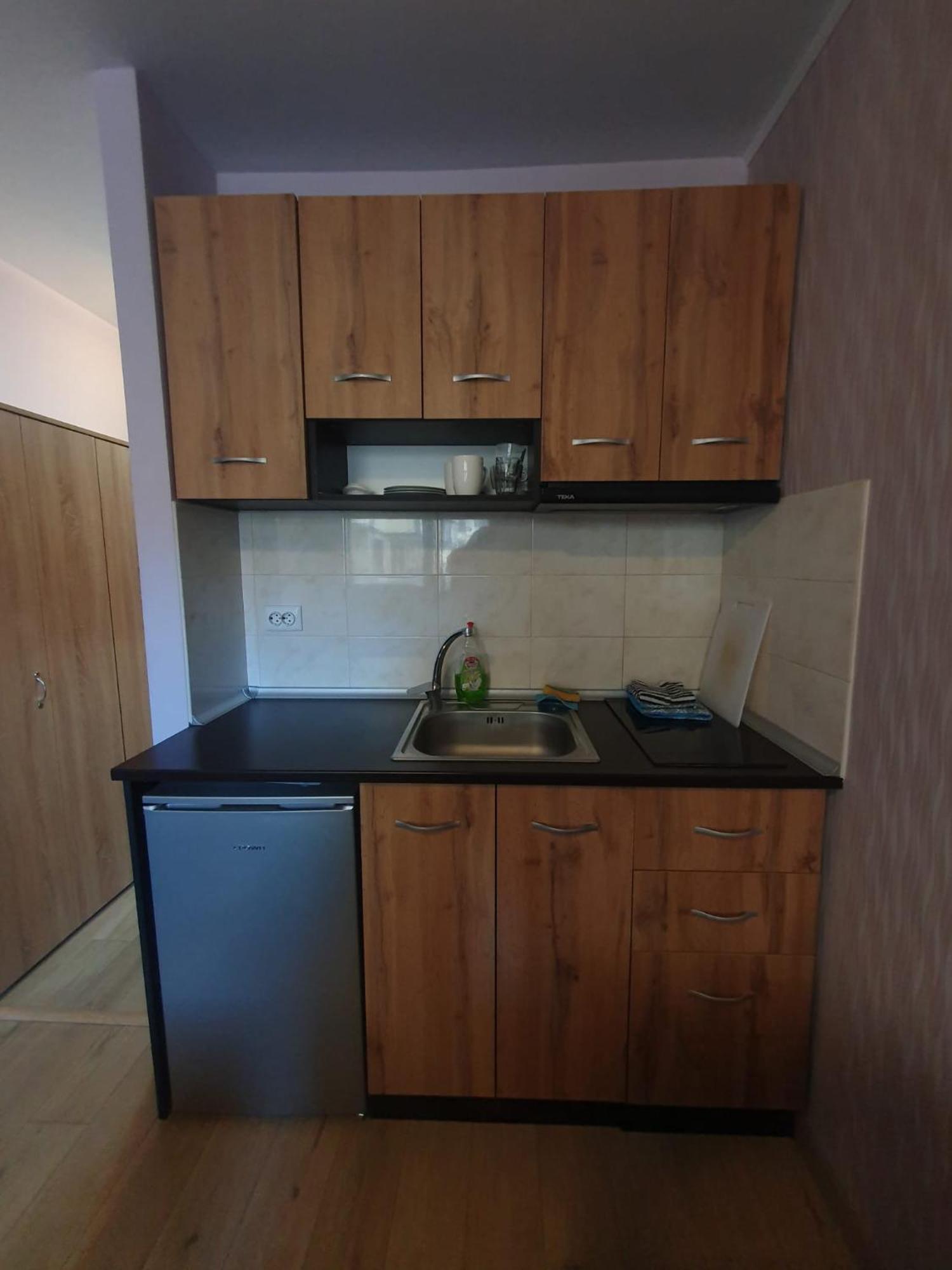 Mechka Ski Apartment บันสโก ภายนอก รูปภาพ